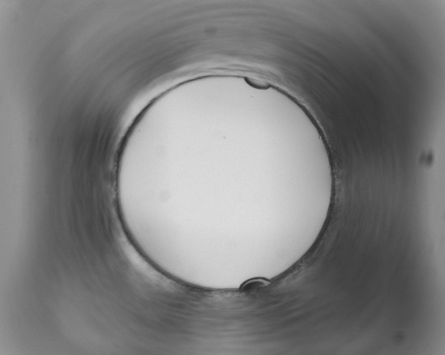 X0000112541531200909141300