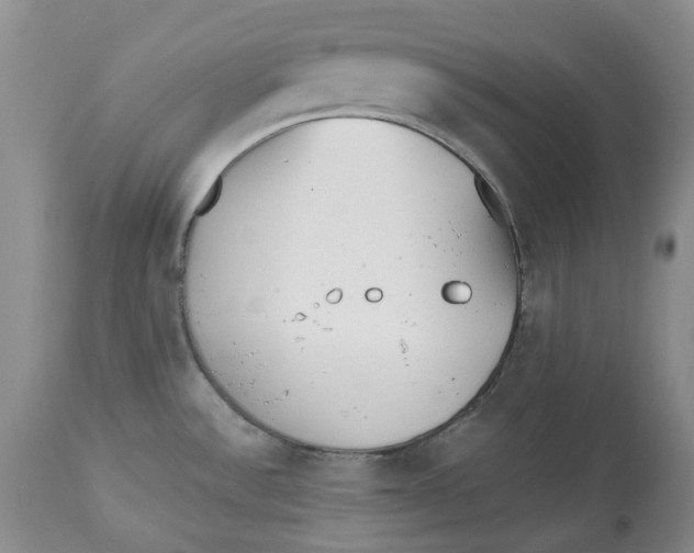 X0000112541532200909141300