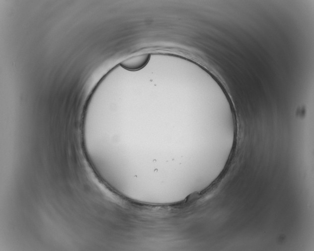 X0000112541533200909141300