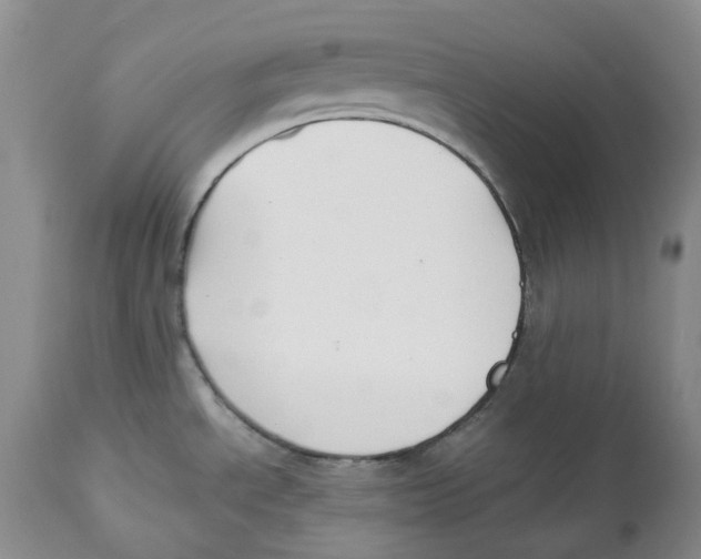 X0000112541534200909141300