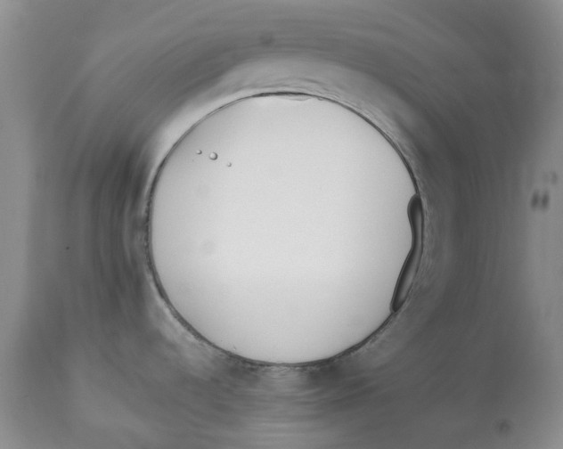 X0000112541536200909141300