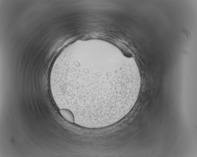 X0000112540002200909281109