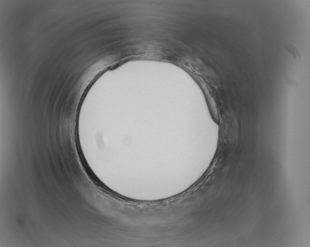 X0000112540003200909281109