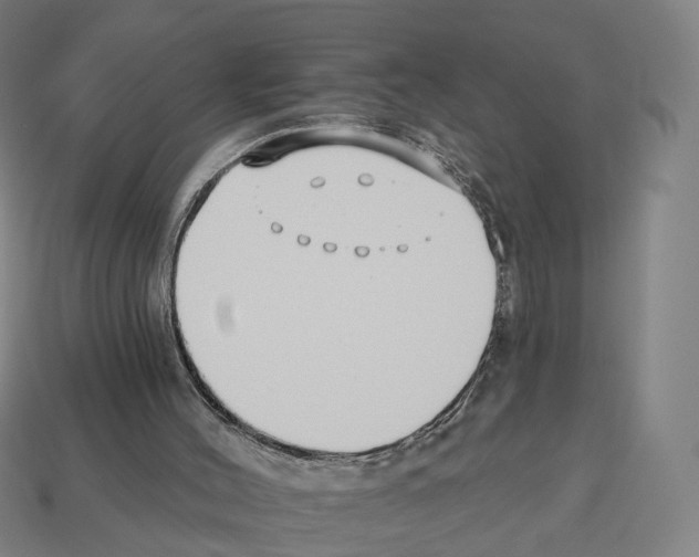 X0000112540004200909281109