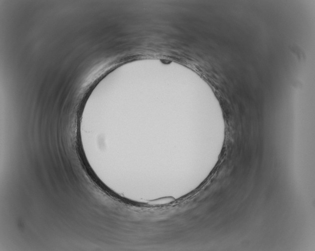 X0000112540005200909281109