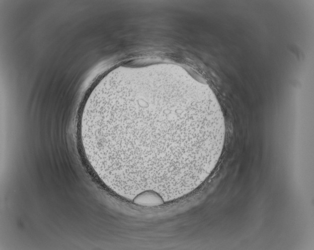 X0000112540006200909281109