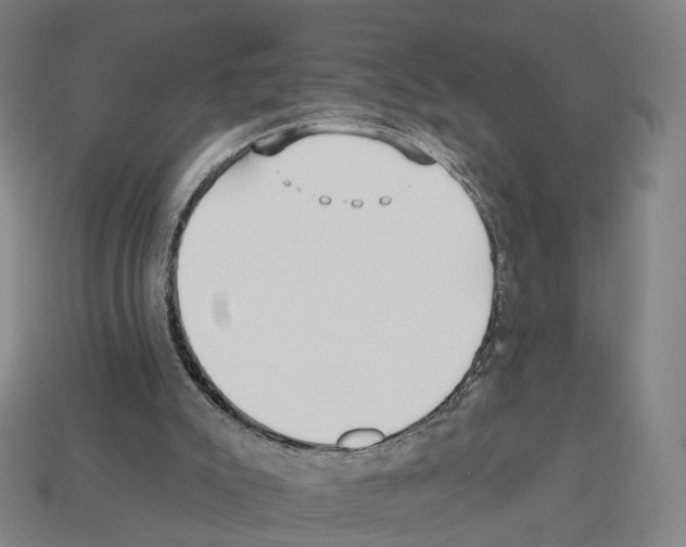 X0000112540007200909281109