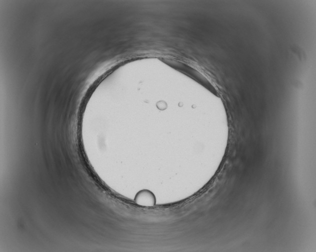 X0000112540008200909281109
