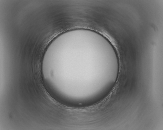X0000112540009200909281109