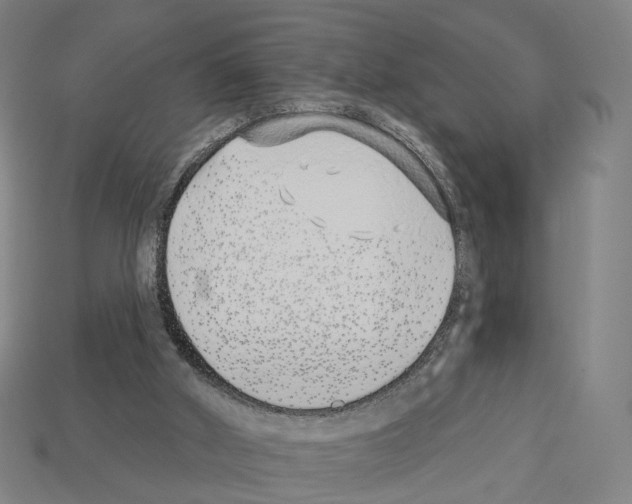 X0000112540010200909281109