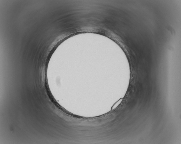 X0000112540011200909281109