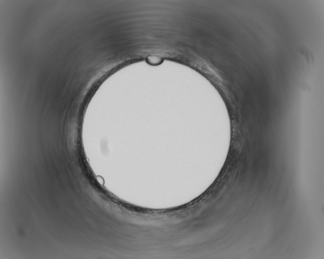 X0000112540012200909281108