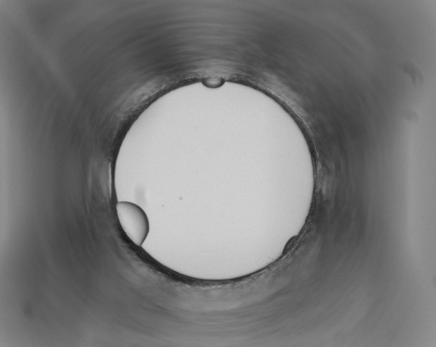 X0000112540013200909281108