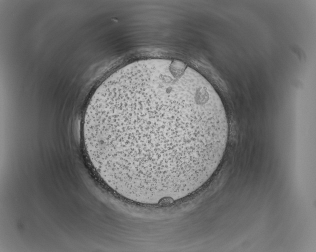 X0000112540014200909281108