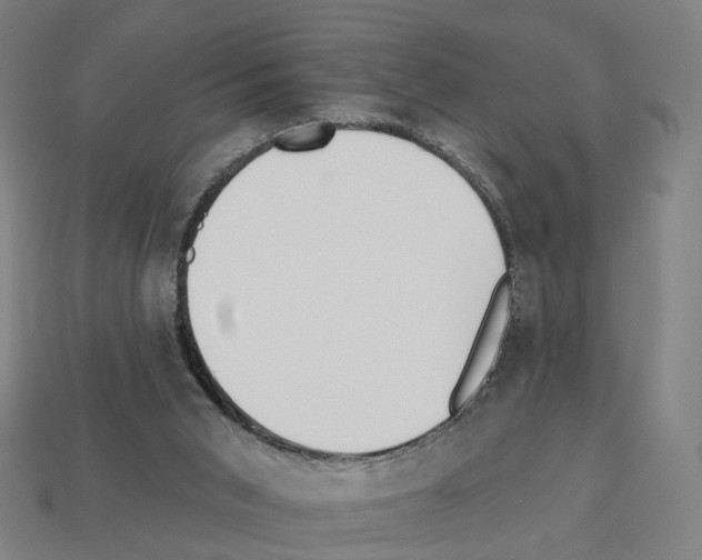X0000112540015200909281108