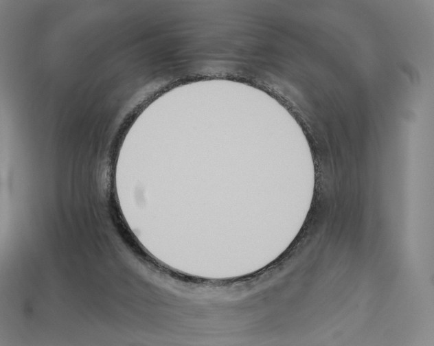 X0000112540016200909281108