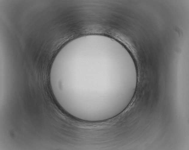 X0000112540017200909281108