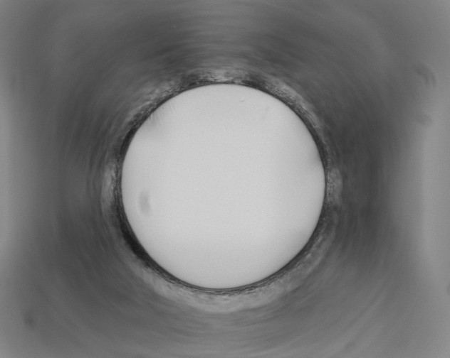 X0000112540018200909281108