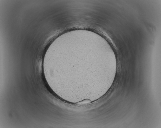 X0000112540019200909281108