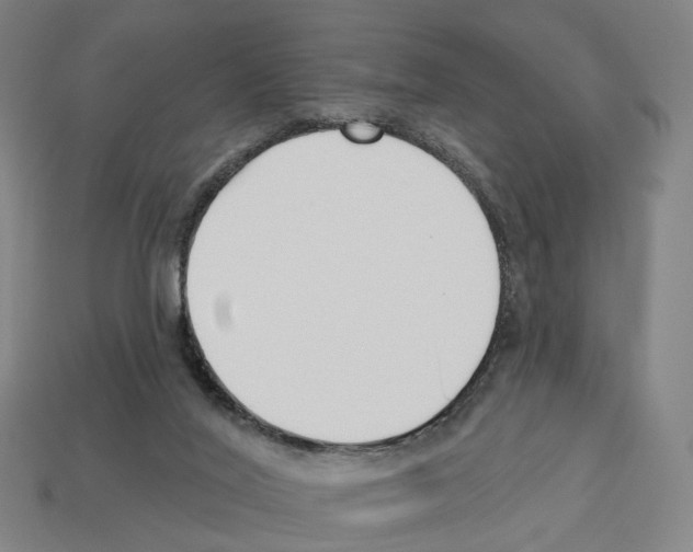 X0000112540020200909281108