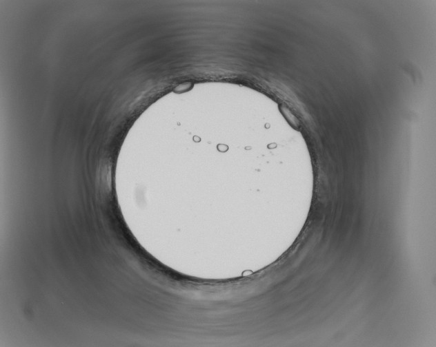 X0000112540021200909281108