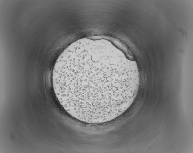 X0000112540022200909281108