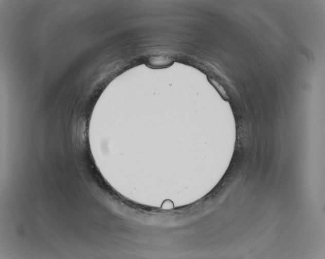 X0000112540024200909281108