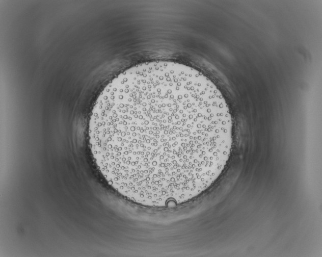 X0000112540026200909281108