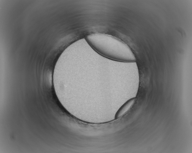 X0000112540027200909281108