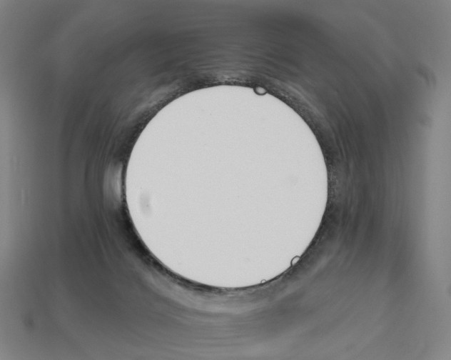 X0000112540028200909281108