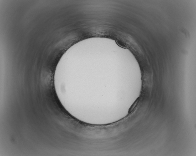 X0000112540029200909281108