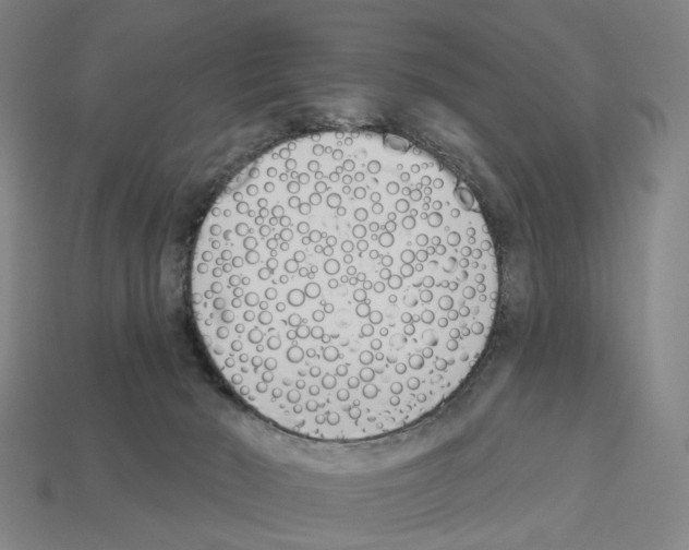 X0000112540030200909281108