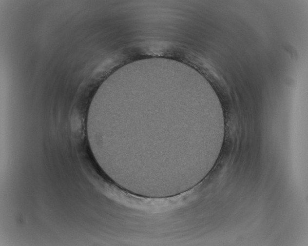 X0000112540031200909281108