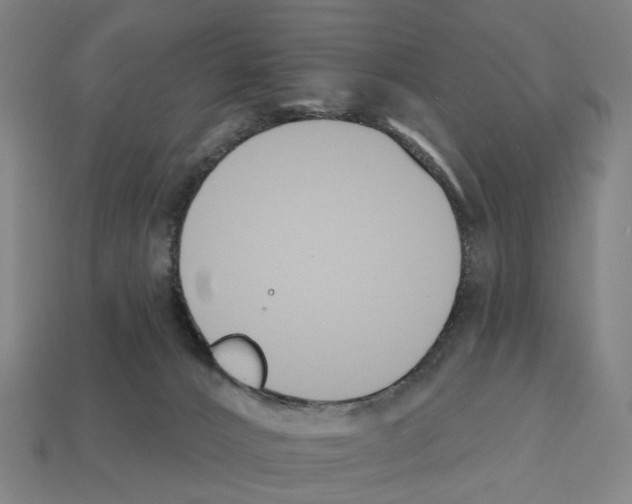 X0000112540032200909281108