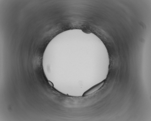 X0000112540033200909281108