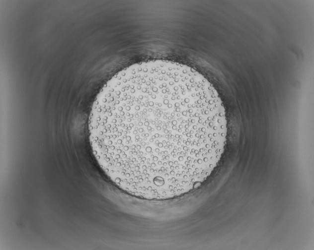 X0000112540034200909281108