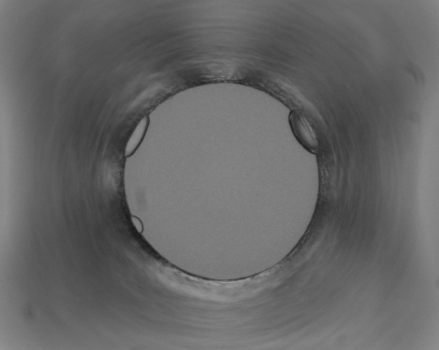 X0000112540035200909281108
