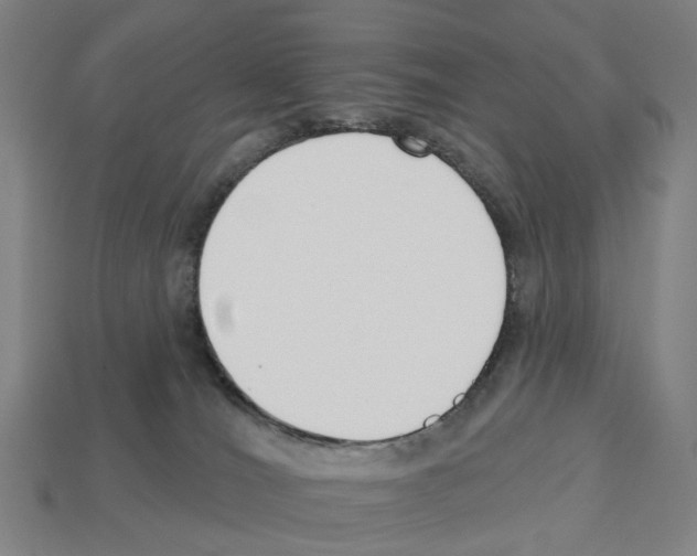 X0000112540036200909281108