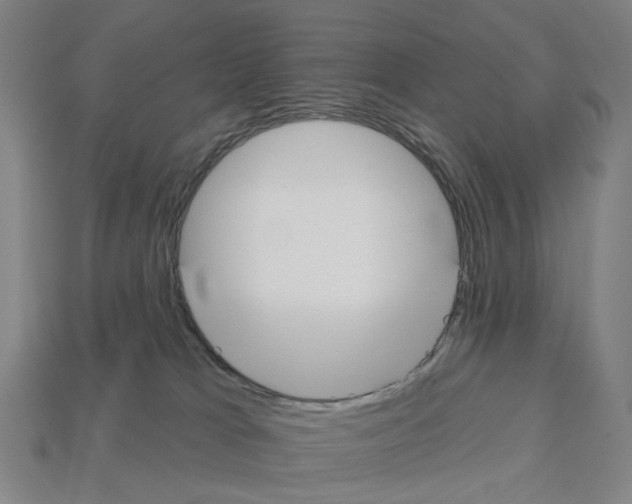 X0000112540037200909281108