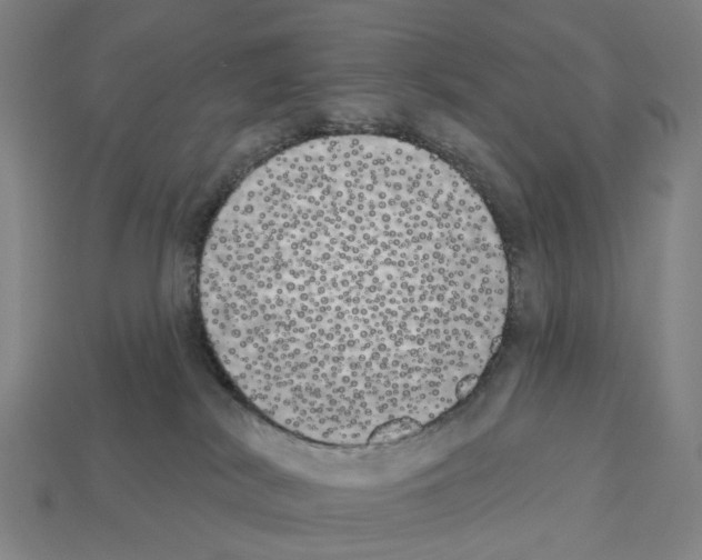 X0000112540038200909281108