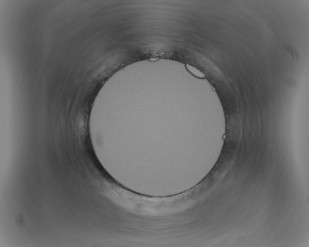 X0000112540039200909281108