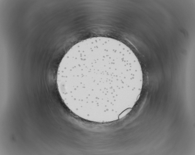X0000112540040200909281108