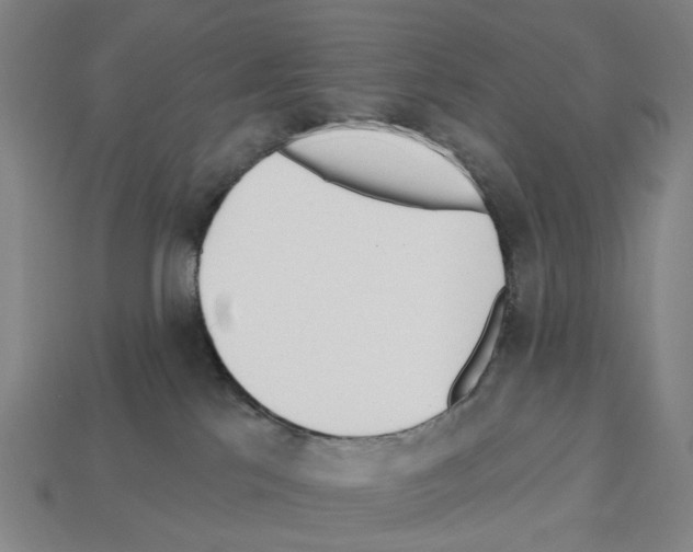 X0000112540041200909281108