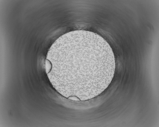 X0000112540042200909281108