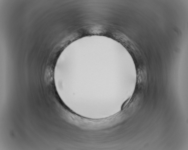 X0000112540043200909281108