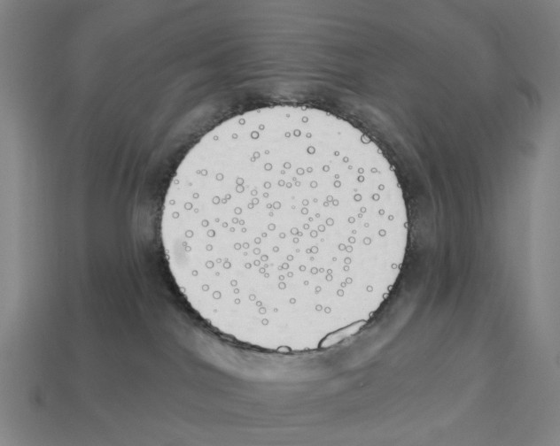 X0000112540044200909281108