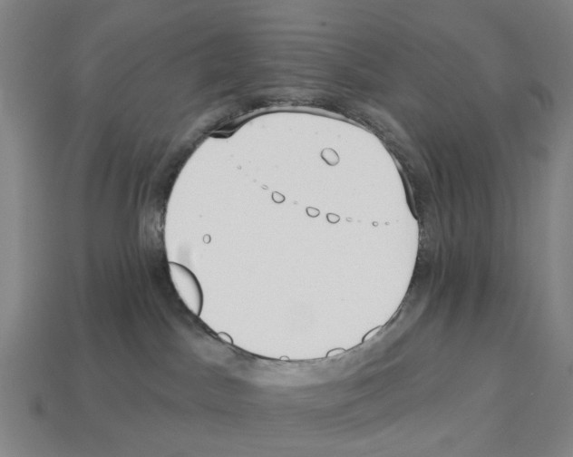 X0000112540045200909281108