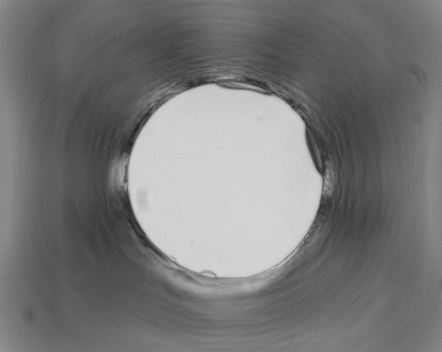 X0000112540047200909281108