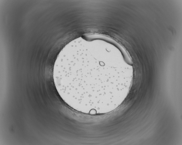X0000112540048200909281108
