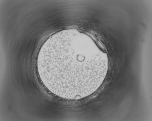 X0000112540049200909281107